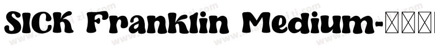 SICK Franklin Medium字体转换